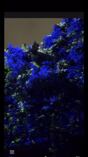 Video post from nydreamer7.