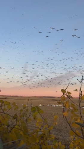 Video post from northernskiesoutfitters.