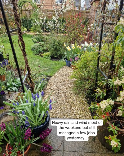 Carousel post from just_us_inthegarden.