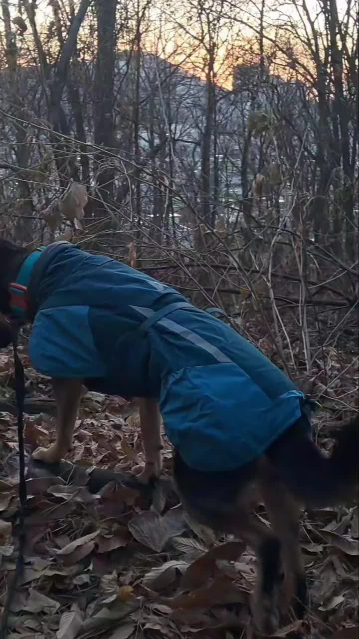 Video post from kkhg3977.