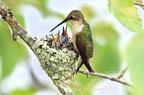 Photo post from artscopemagazine.