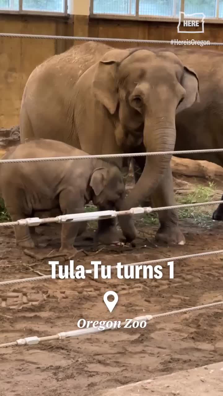 Video post from hereisoregon.