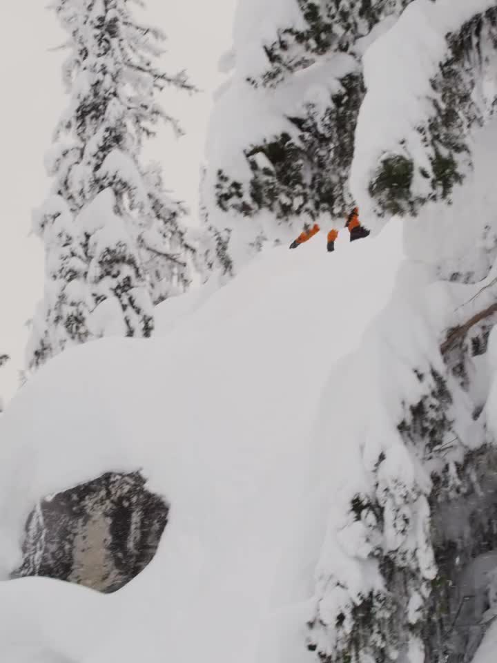 Carousel post from libtechnologies.