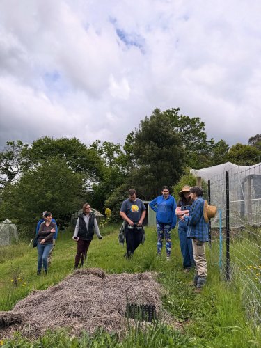 Carousel post from earthsoulgarden.