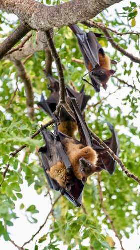 Video post from woodcoconsulting.