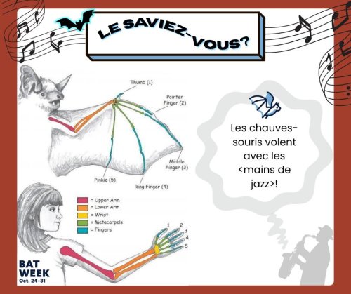 Photo post from merseytobeatic.