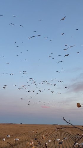 Video post from northernskiesoutfitters.