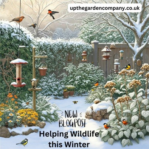 Photo post from upthegardenco.