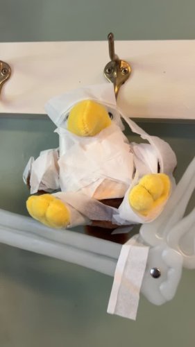 Video post from bc_ogsl.