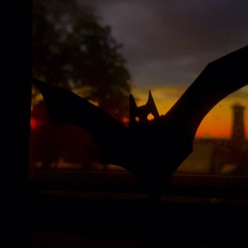 Video post from greenportwaterfrontrental.