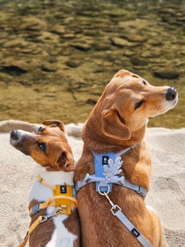 Carousel post from gwang_gwang_2_ne.