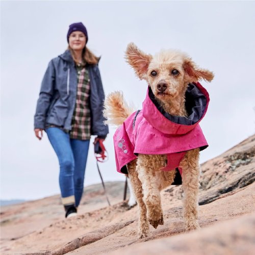 Carousel post from hurttakorea.