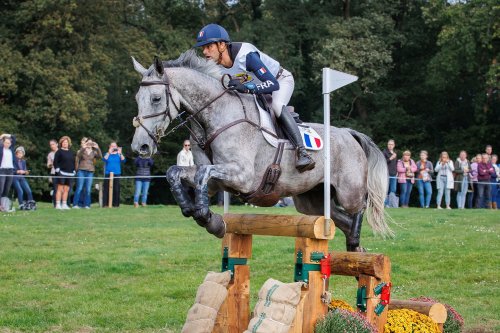 Photo post from fei_global.