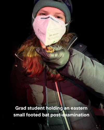 Carousel post from colsa.unh.