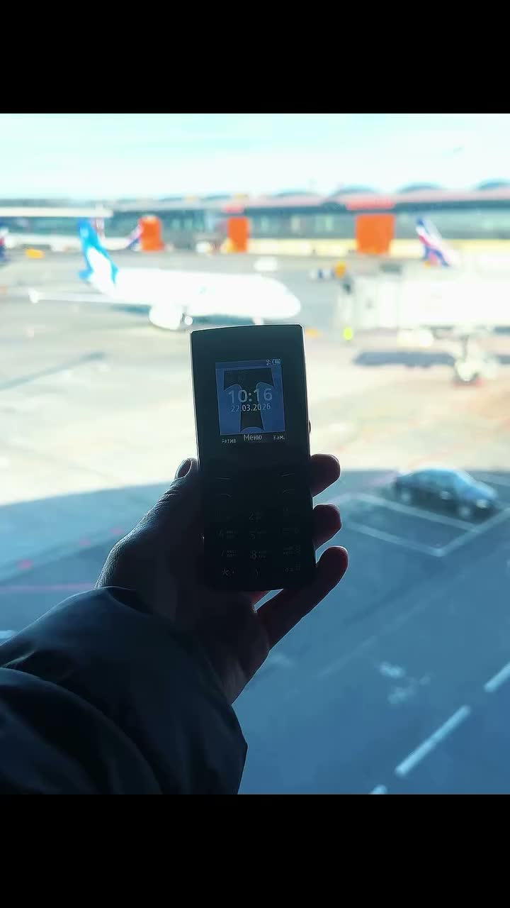 Video post from torpedolife.