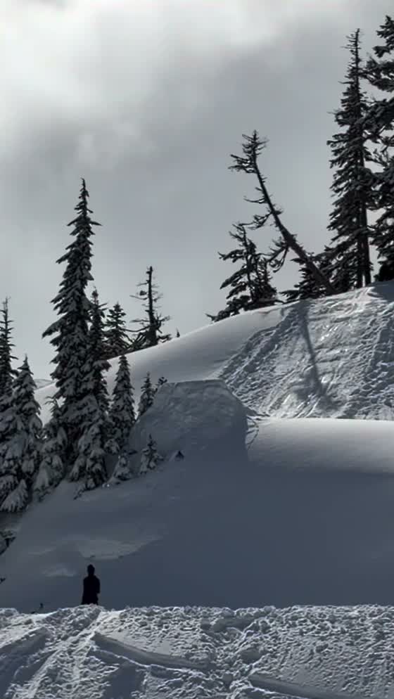 Video post from gnusnowboards.