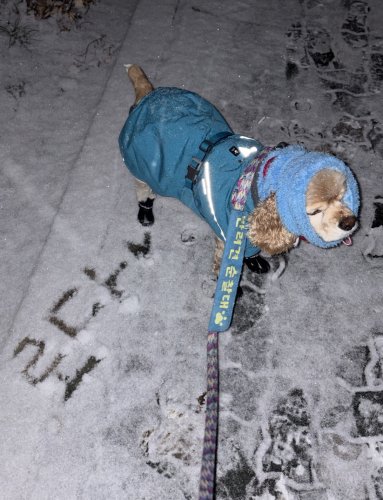 Carousel post from its_you_roda.