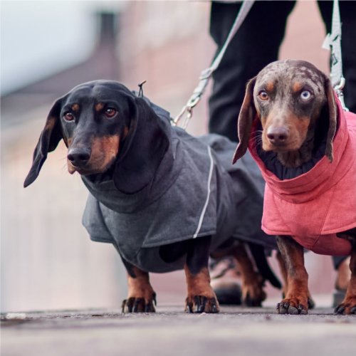 Carousel post from hurttakorea.