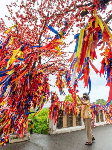 Carousel post from amazingthailandjp.