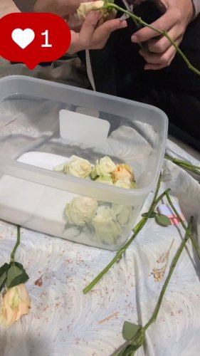 Video post from artistic_drop_12.