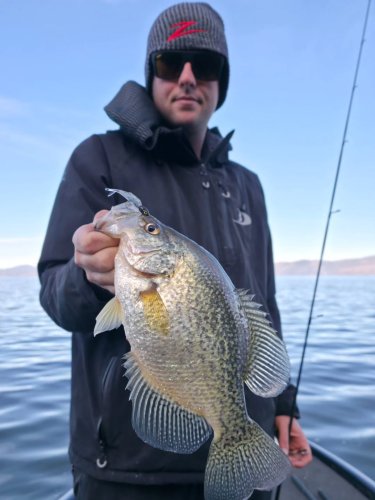 Photo post from garrettscustoms.