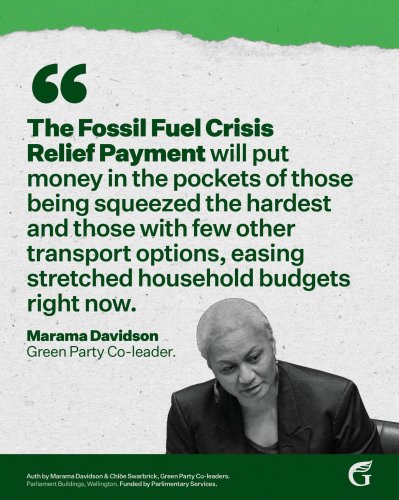 Photo post from nzgreenparty.