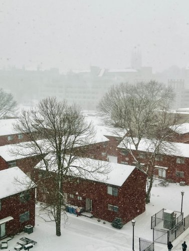 Photo post from bostoncollege.