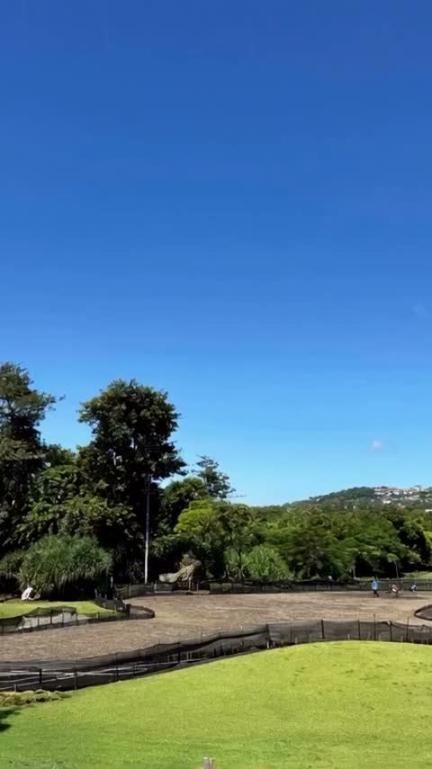 Video post from newkutagolf.