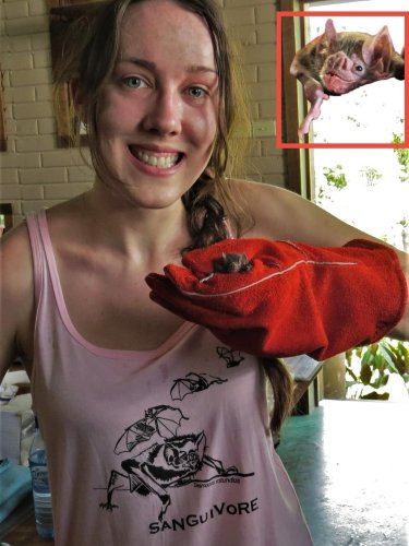 Photo post from nocturnal.biologist.