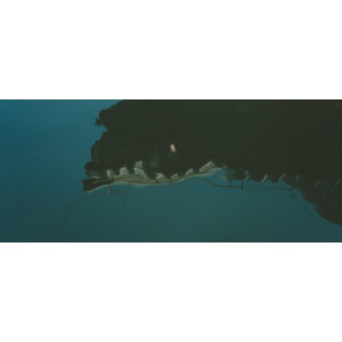 Carousel post from zhangdoa.