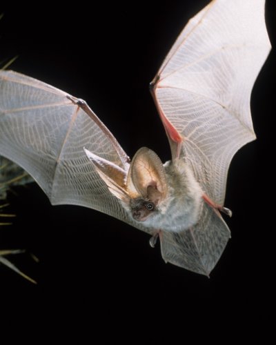 Carousel post from bundesforste.