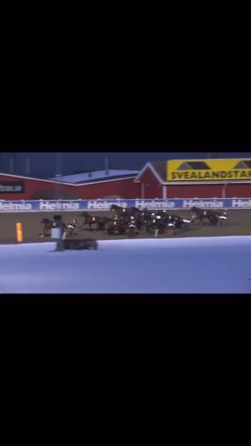 Vilken dag för stallet! TRE segrar på V85 🥇🥇🥇 Fantastiska hästar & ett team som är på topp! 🥂🤩