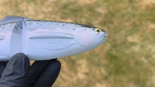 Video post from garrettscustoms.