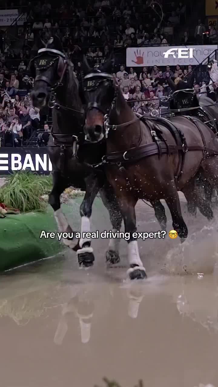 Video post from fei_global.