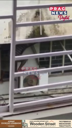 Video post from pragnewsofficial.