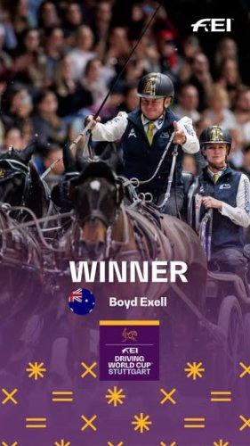 Video post from fei_global.