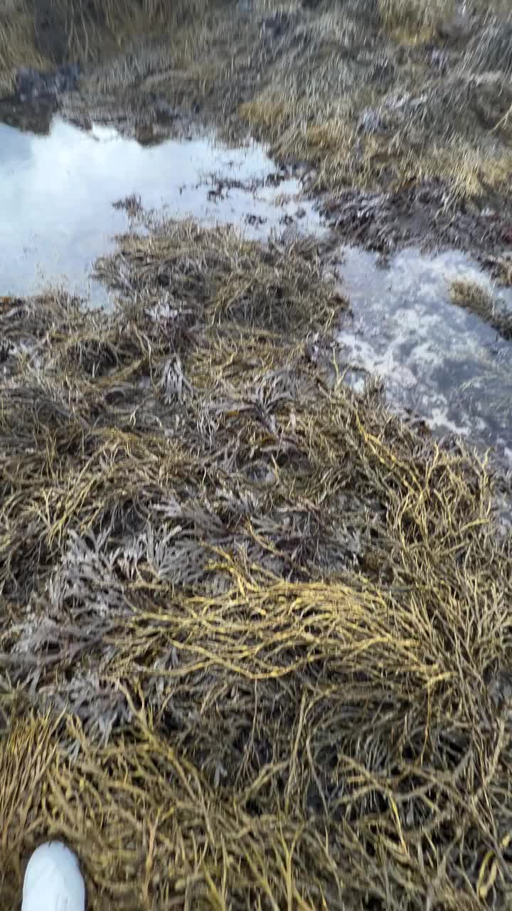 Video post from me_lee_on_dreamz.