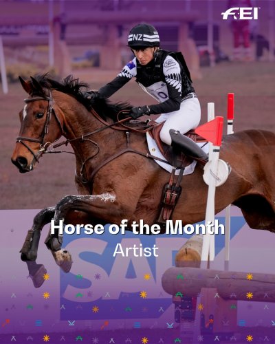 Photo post from fei_global.