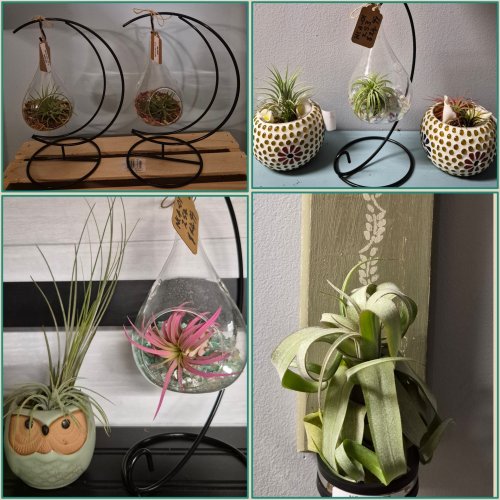 Photo post from niftygiftynorfolk.