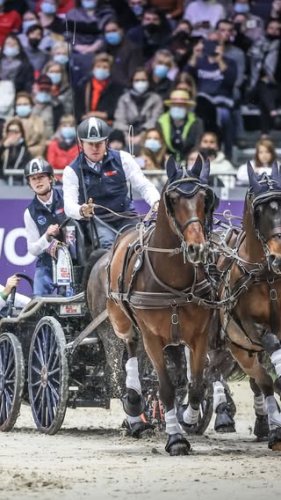 Video post from fei_global.