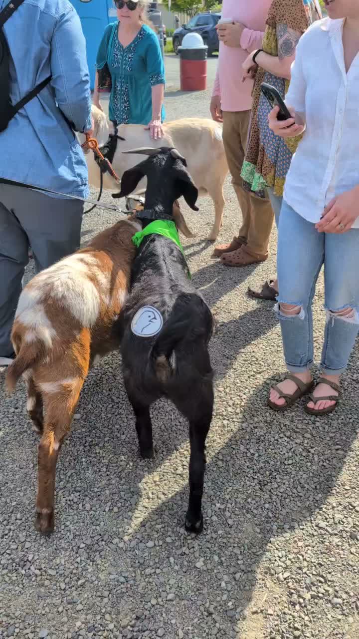 Video post from theresortatportludlow.