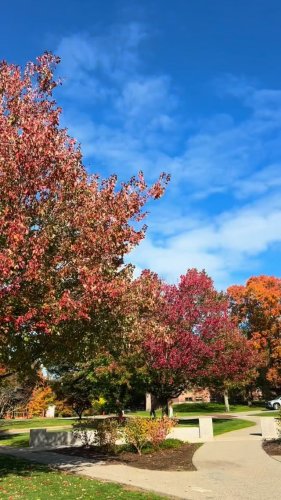 Video post from bclawonline.