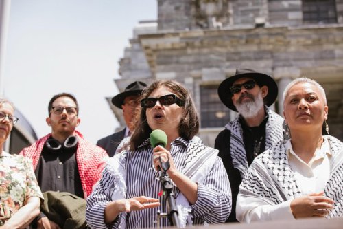 Carousel post from nzgreenparty.