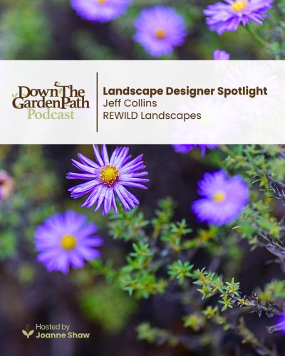 Photo post from down2earth_official.