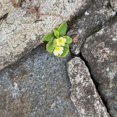 Photo post from gardenhousebrighton.