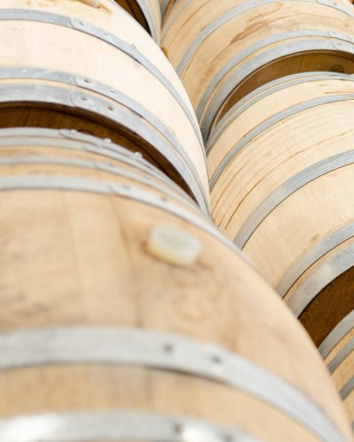 Carousel post from gundogestate.