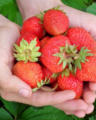 Photo post from visaliafarmersmarket.