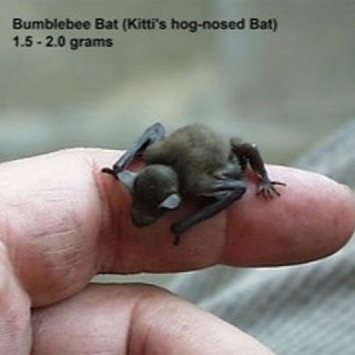 Photo post from shears.rick.