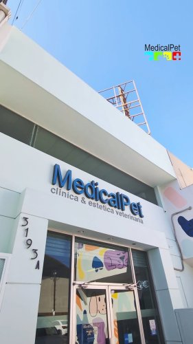 Video post from medicalpettj.