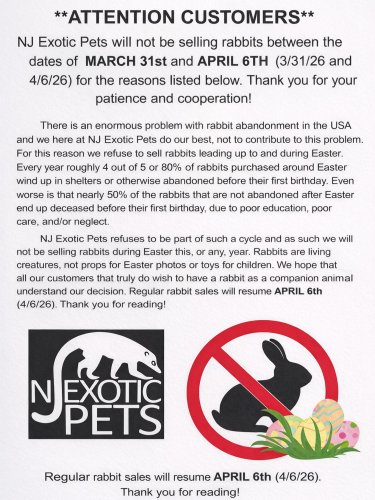 Photo post from njexoticpets.